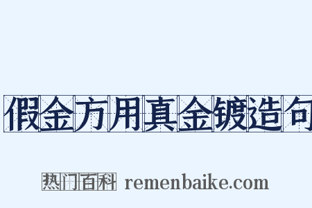 假金方用真金镀造句是什么意思的图片